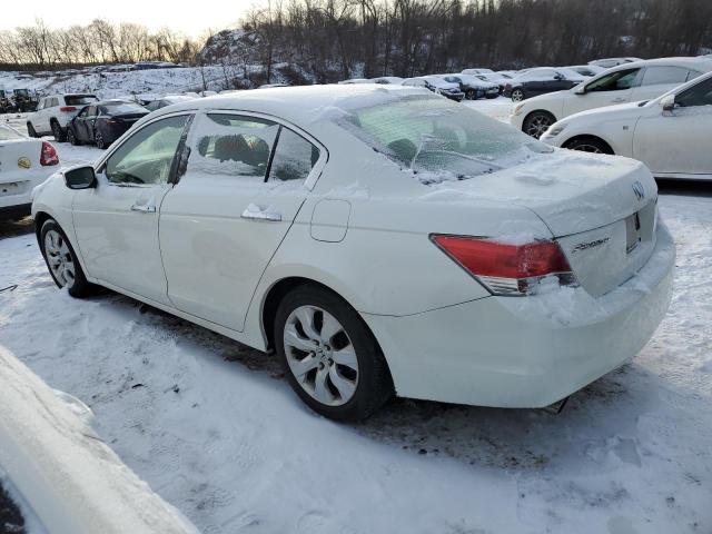 1HGCP3F80AA000813 - 2010 HONDA ACCORD EXL WHITE photo 2