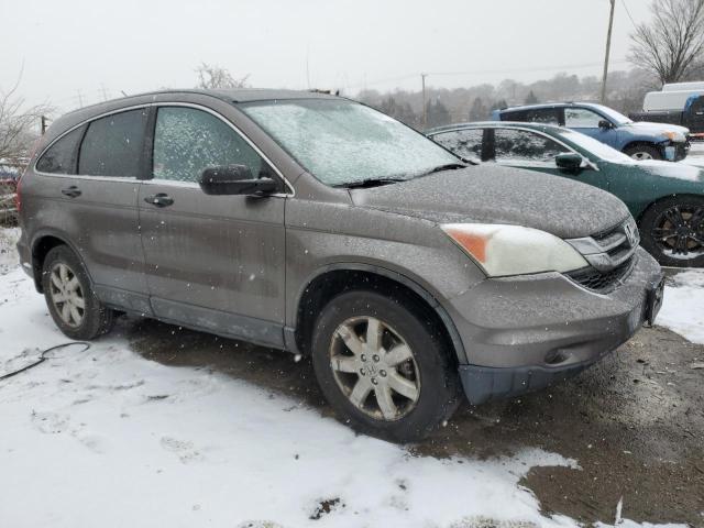 5J6RE48509L012901 - 2009 HONDA CR-V EX TAN photo 4