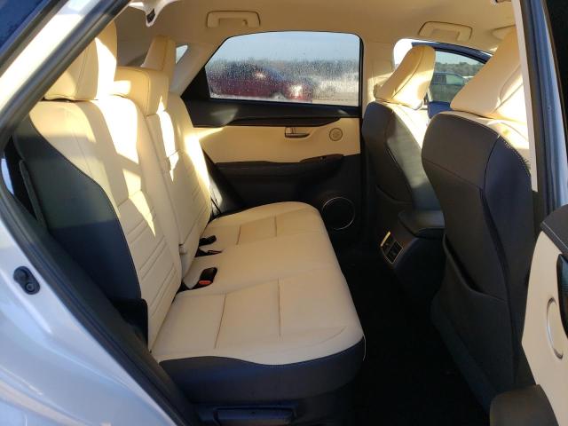 JTJDARBZ4M5025245 - 2021 LEXUS NX 300 BASE თეთრი ფოტო 10