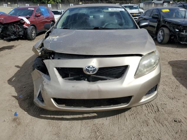 1NXBU4EE3AZ248662 - 2010 TOYOTA COROLLA BASE TAN photo 5