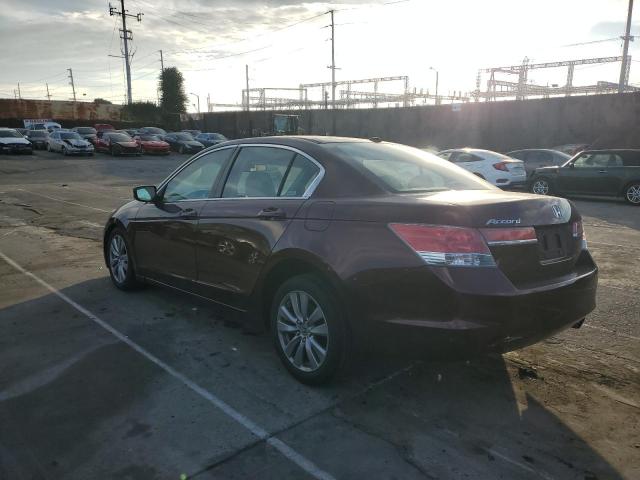 1HGCP2F81BA095569 - 2011 HONDA ACCORD EXL BURGUNDY photo 2