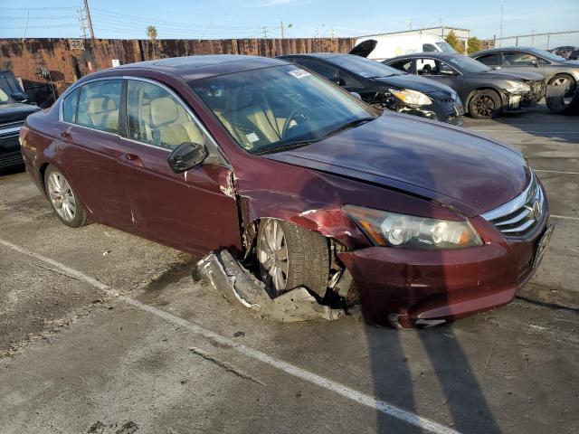 1HGCP2F81BA095569 - 2011 HONDA ACCORD EXL BURGUNDY photo 4