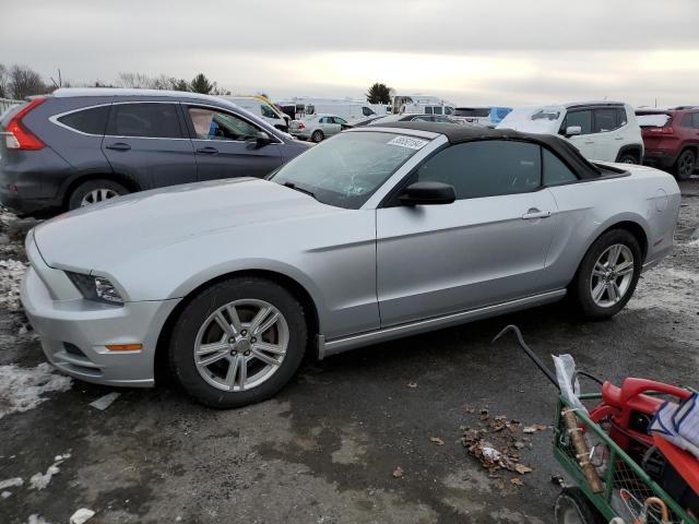 1ZVBP8EM0D5237057 - 2013 FORD MUSTANG SILVER photo 1
