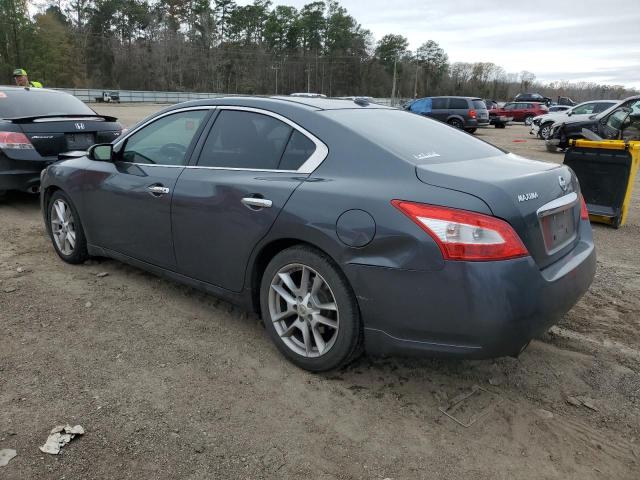 1N4AA5AP5BC824979 - 2011 NISSAN MAXIMA S GRAY photo 2