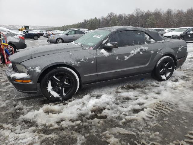 1ZVFT84N955253539 - 2005 FORD MUSTANG GRAY photo 1