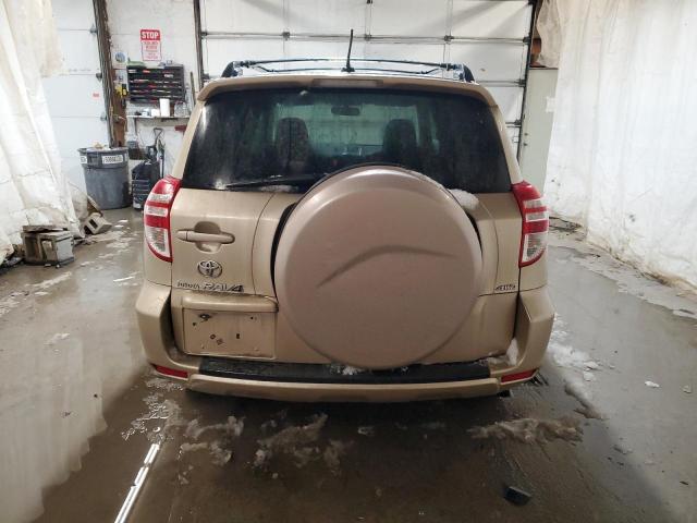 JTMBF4DV6AD036144 - 2010 TOYOTA RAV4 GOLD photo 6