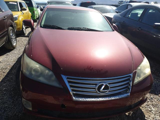 JTHBK1EG7A2355508 - 2010 LEXUS ES 350 RED photo 5