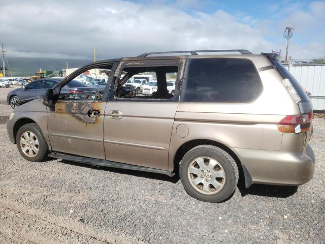 5FNRL18653B125353 - 2003 HONDA ODYSSEY EX TAN photo 2