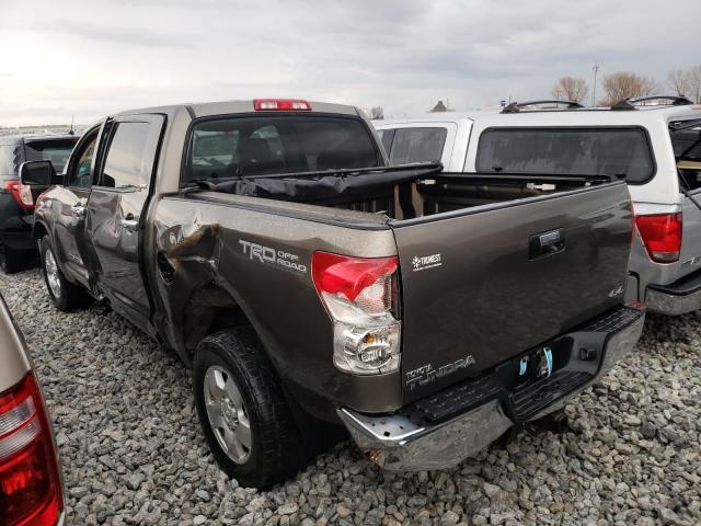 5TFDV54188X061182 - 2008 TOYOTA TUNDRA CREWMAX BROWN photo 2