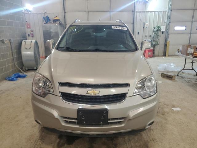 3GNAL3EK8ES565174 - 2014 CHEVROLET CAPTIVA LT CREAM photo 5