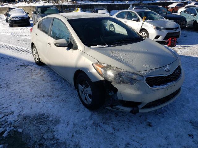 KNAFK4A60F5364121 - 2015 KIA FORTE LX WHITE photo 4