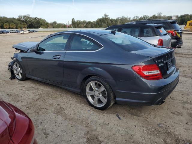 WDDGJ4HB0DF975213 - 2013 MERCEDES-BENZ C 250 GRAY photo 2