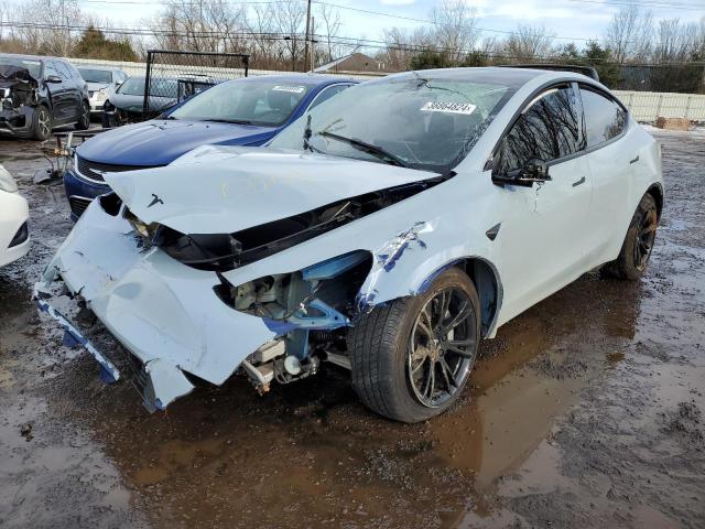 2023 TESLA MODEL Y, 