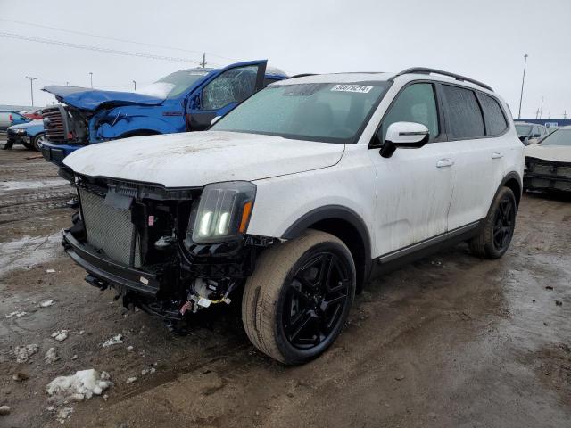 5XYP3DGC9PG348347 - 2023 KIA TELLURIDE EX WHITE photo 1