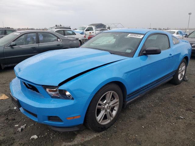 1ZVBP8AM6C5283769 - 2012 FORD MUSTANG BLUE photo 1