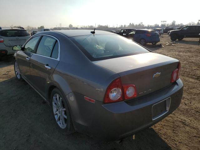 1G1ZE5E16BF343699 - 2011 CHEVROLET MALIBU LTZ ყავისფერი ფოტო 2