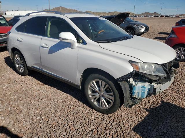 2T2BK1BA4AC053172 - 2010 LEXUS RX 350 WHITE photo 4