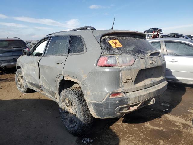 1C4PJMBN0KD425256 - 2019 JEEP CHEROKEE TRAILHAWK GRAY photo 2