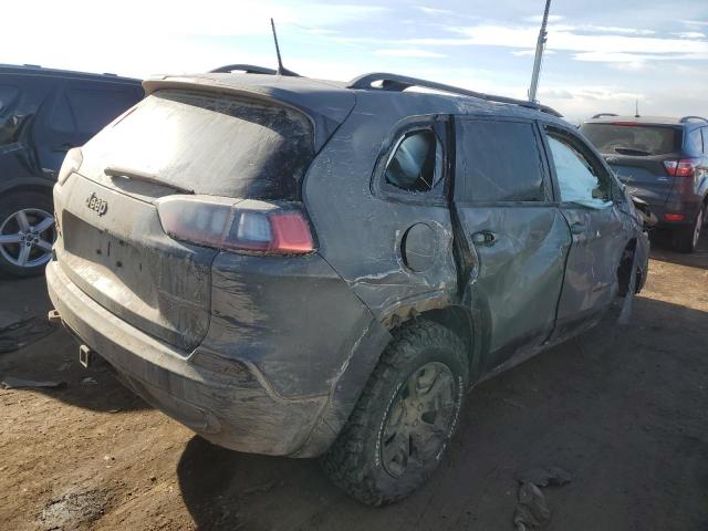 1C4PJMBN0KD425256 - 2019 JEEP CHEROKEE TRAILHAWK GRAY photo 3