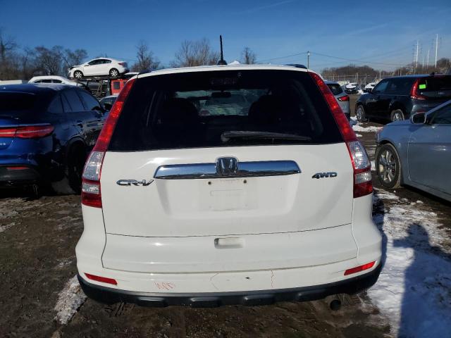 5J6RE4H71AL075396 - 2010 HONDA CR-V EXL WHITE photo 6