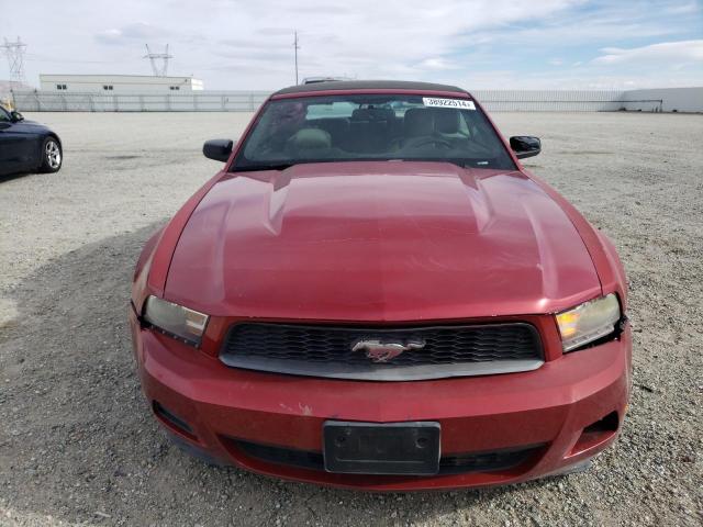 1ZVBP8EN2A5142486 - 2010 FORD MUSTANG RED photo 5