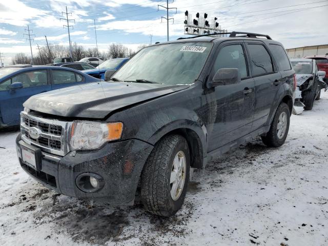 2010 FORD ESCAPE XLT, 