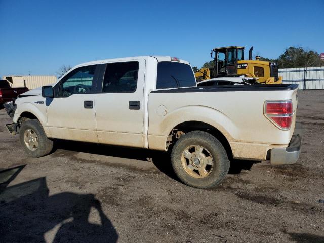 1FTEW1C84AFC36533 - 2010 FORD F150 SUPERCREW WHITE photo 2