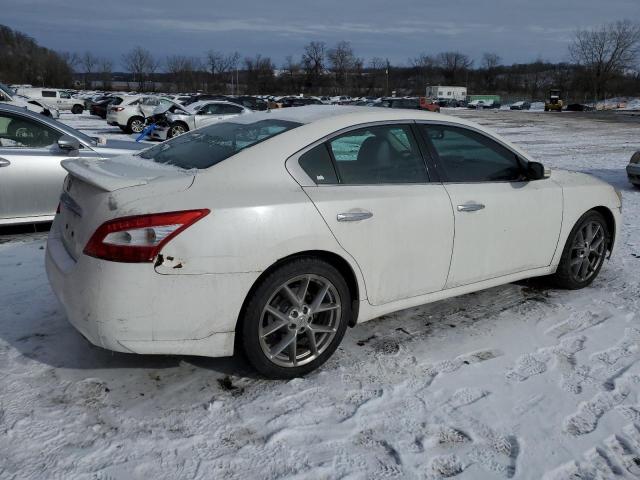 1N4AA5AP1AC846170 - 2010 NISSAN MAXIMA S WHITE photo 3