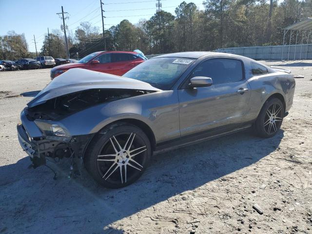 1ZVBP8AM0E5270387 - 2014 FORD MUSTANG GRAY photo 1