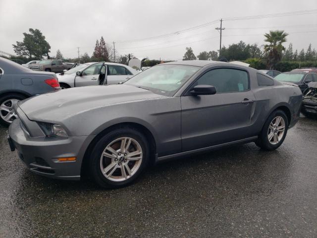 1ZVBP8AM4D5211146 - 2013 FORD MUSTANG GRAY photo 1