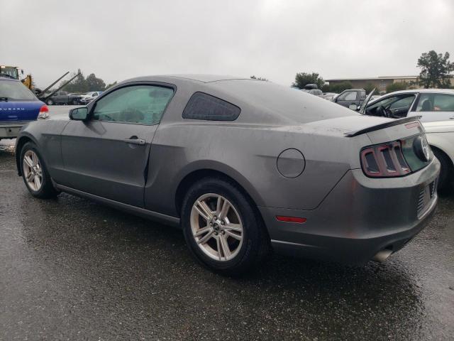 1ZVBP8AM4D5211146 - 2013 FORD MUSTANG GRAY photo 2