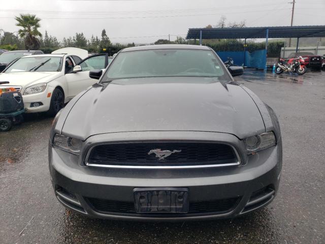 1ZVBP8AM4D5211146 - 2013 FORD MUSTANG GRAY photo 5