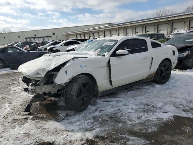 1ZVBP8AM0C5275165 - 2012 FORD MUSTANG WHITE photo 1