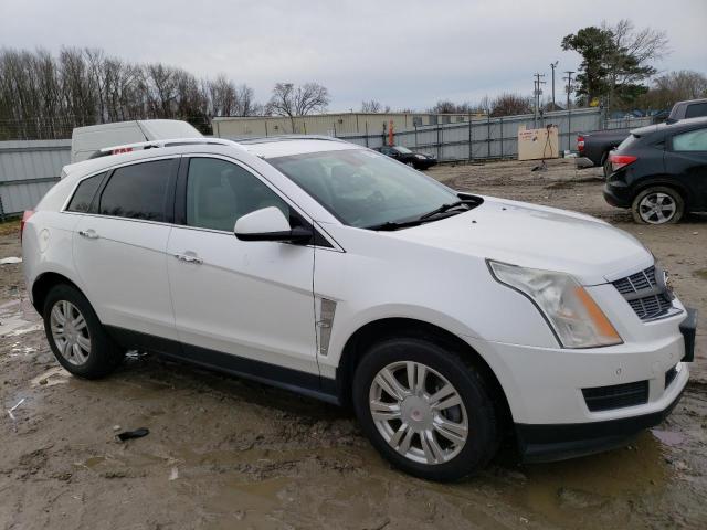 3GYFNAEY7BS529838 - 2011 CADILLAC SRX LUXURY COLLECTION WHITE photo 4