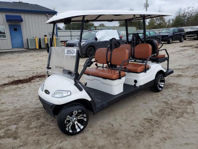 1H9AE43L4NA666119 - 2022 HAHM GOLFCART WHITE photo 2