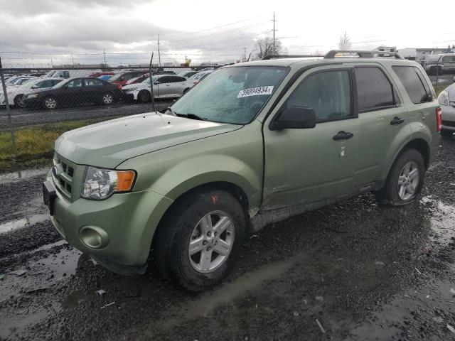 1FMCU59369KB20149 - 2009 FORD ESCAPE HYBRID GREEN photo 1