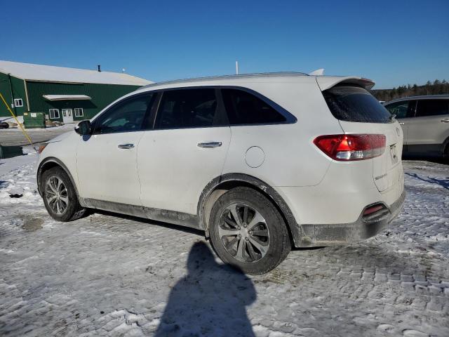 5XYPH4A54GG099404 - 2016 KIA SORENTO EX WHITE photo 2