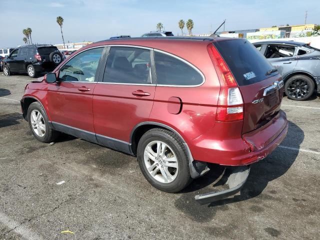 JHLRE3H71AC008350 - 2010 HONDA CR-V EXL BURGUNDY photo 2