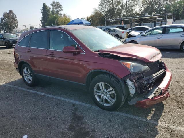 JHLRE3H71AC008350 - 2010 HONDA CR-V EXL BURGUNDY photo 4