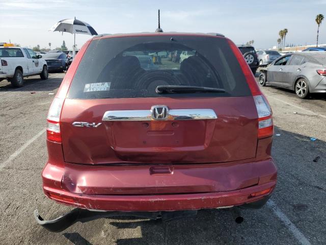 JHLRE3H71AC008350 - 2010 HONDA CR-V EXL BURGUNDY photo 6