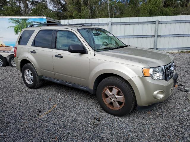 1FMCU0DG9BKC63065 - 2011 FORD ESCAPE XLT GOLD photo 4