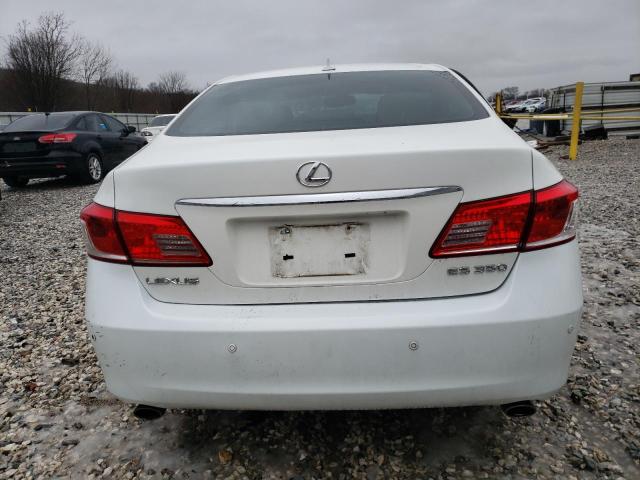 JTHBK1EG0A2391380 - 2010 LEXUS ES 350 WHITE photo 6