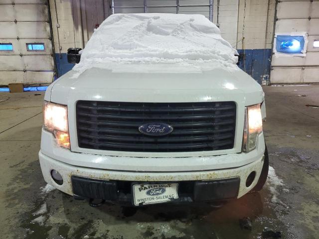 1FTFX1EF3EFC25090 - 2014 FORD F150 SUPER CAB WHITE photo 5