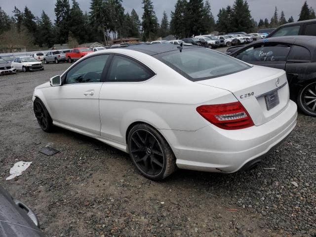 WDDGJ4HB9DF994973 - 2013 MERCEDES-BENZ C 250 WHITE photo 2