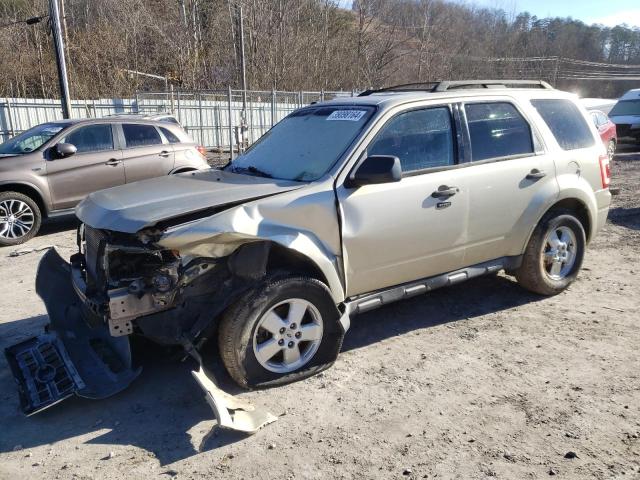 2010 FORD ESCAPE XLT, 