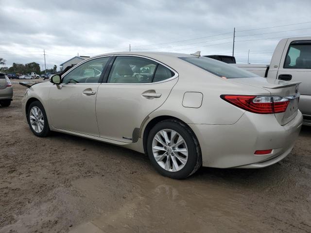 JTHBW1GG2D2028682 - 2013 LEXUS ES 300H TAN photo 2