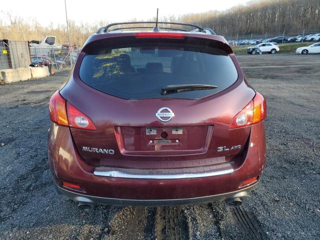 JN8AZ1MW1AW123050 - 2010 NISSAN MURANO S RED photo 6