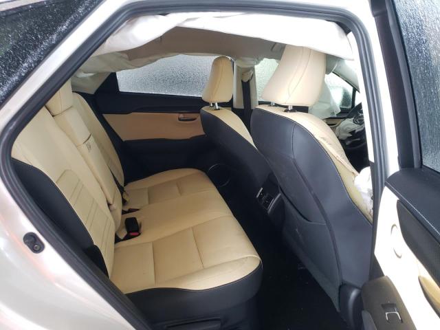 JTJYARBZ0K2118246 - 2019 LEXUS NX 300 BASE თეთრი ფოტო 11