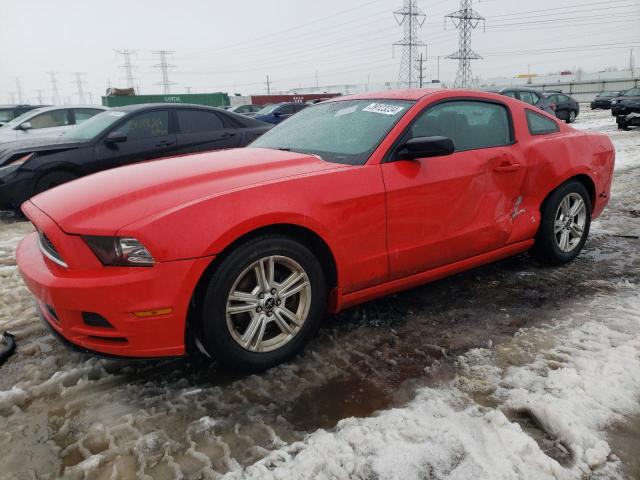 1ZVBP8AM7E5302056 - 2014 FORD MUSTANG RED photo 1