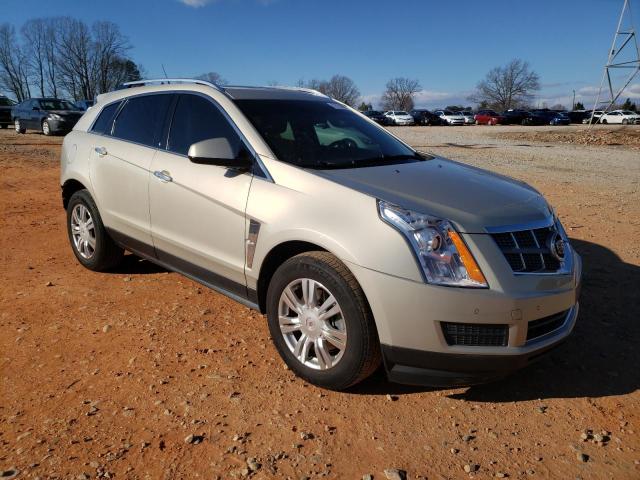 3GYFNAEY6BS544489 - 2011 CADILLAC SRX LUXURY COLLECTION GOLD photo 4